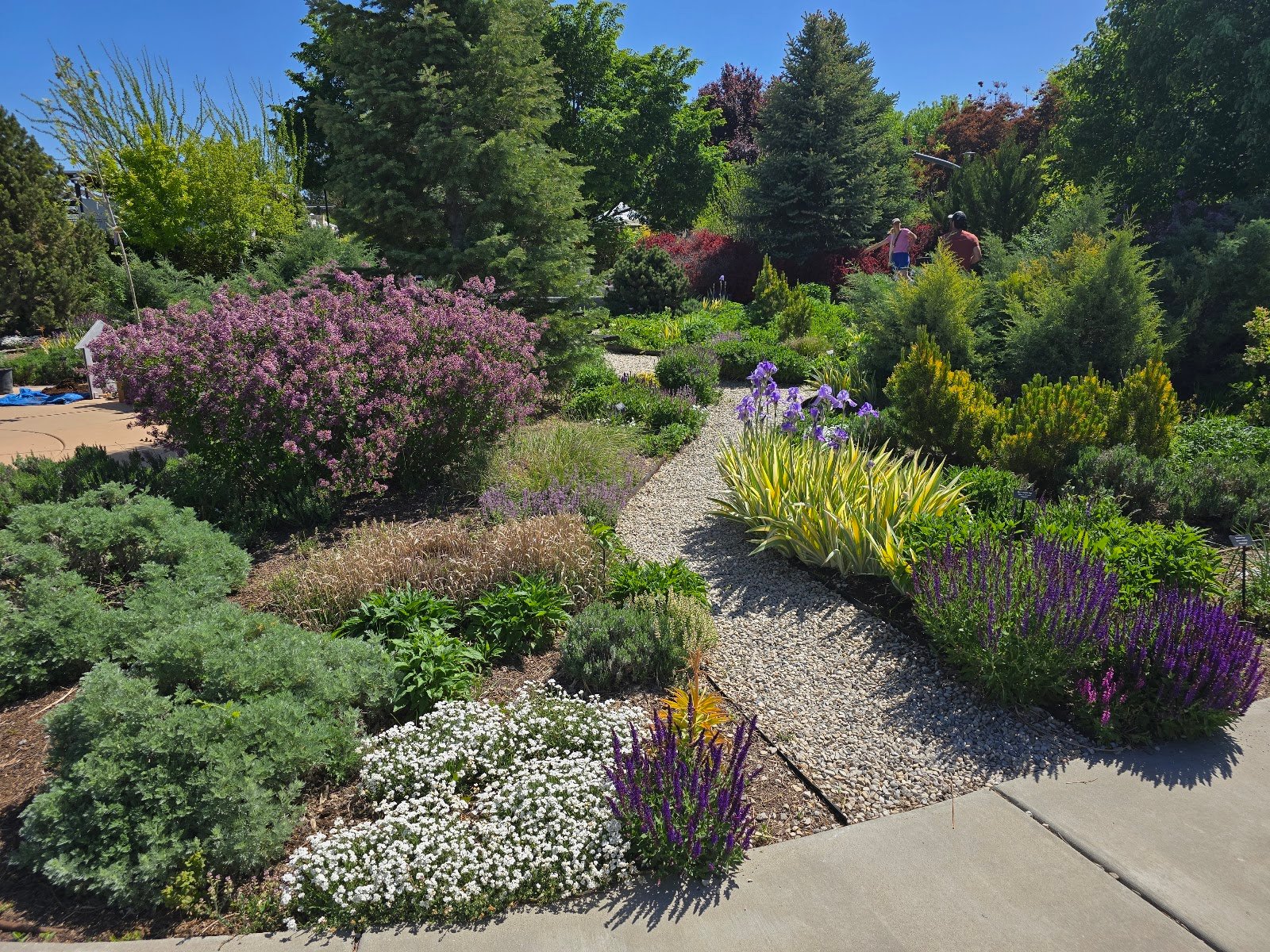 conservation-garden-park-1