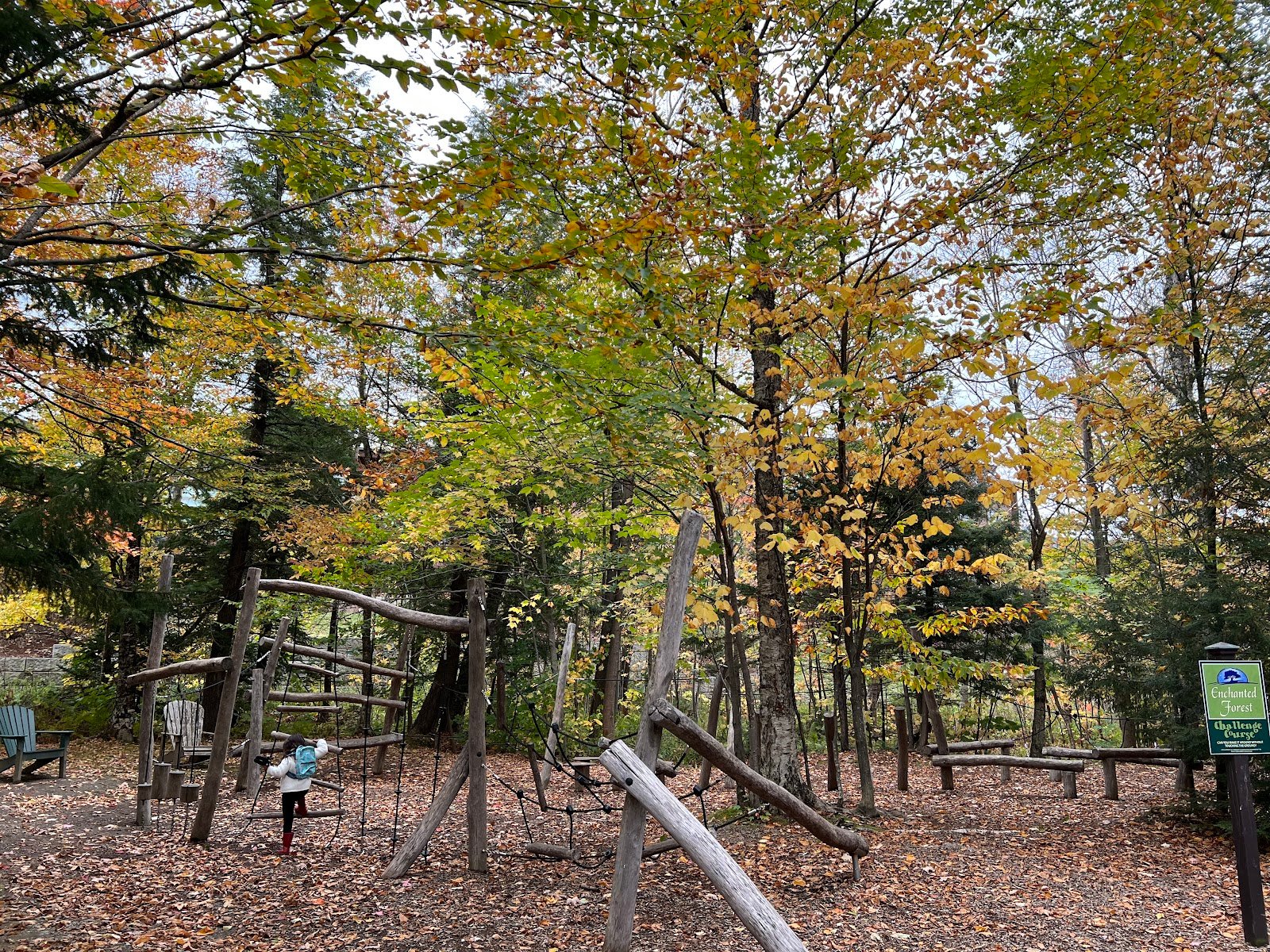 enchanted-forest-playground-1