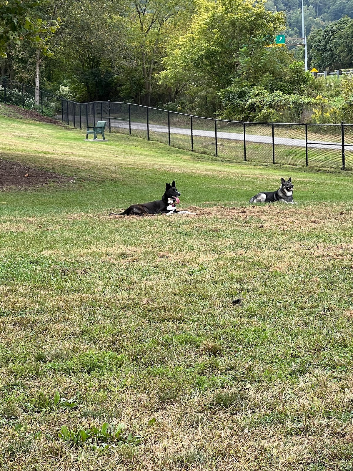 fitzsimmons-family-dog-park-1