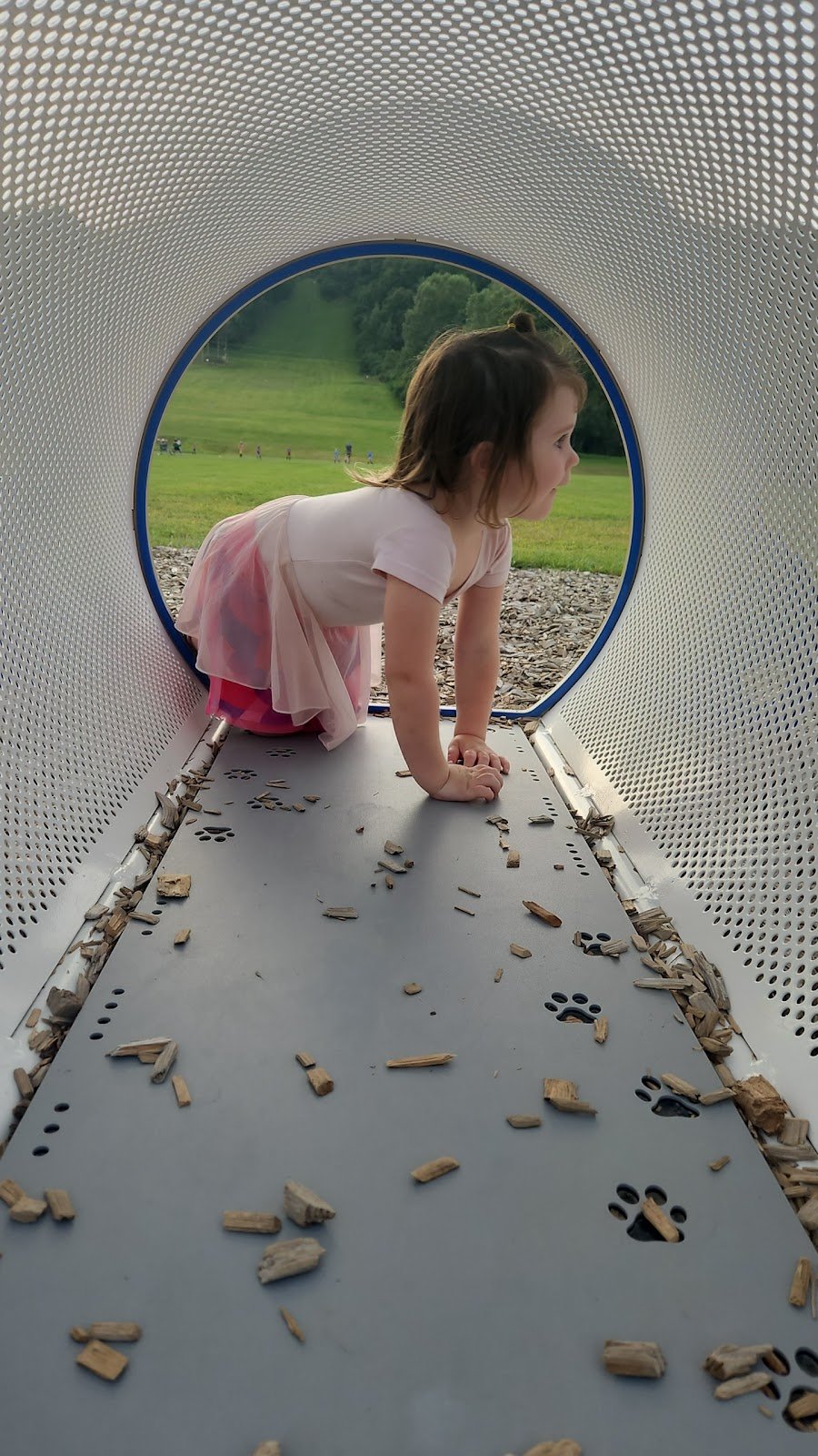 hardack-playground-1