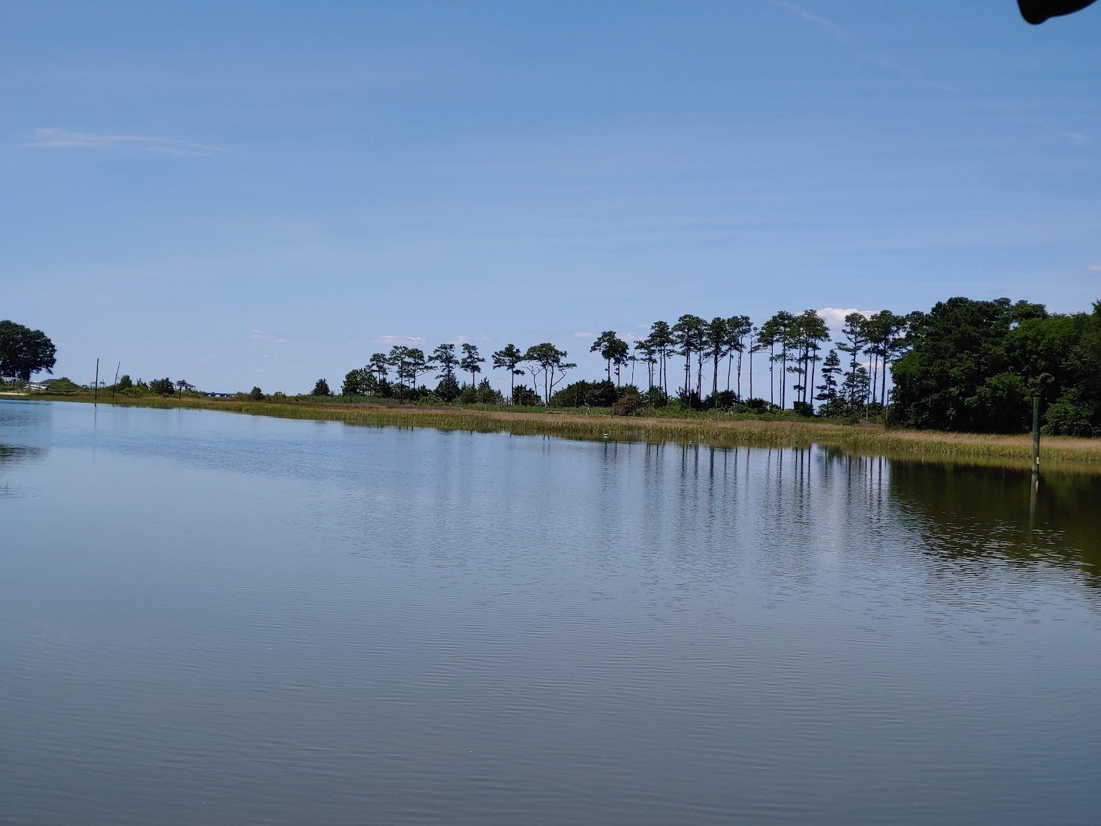hoffler-creek-wildlife-preserve-3