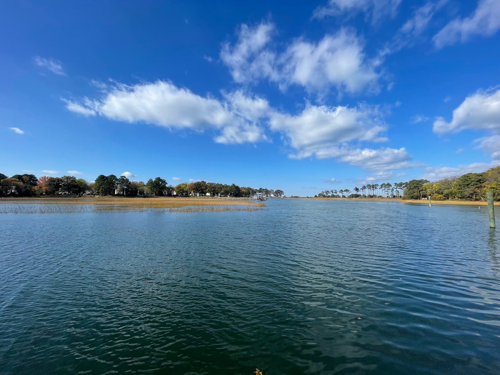 hoffler-creek-wildlife-preserve-4