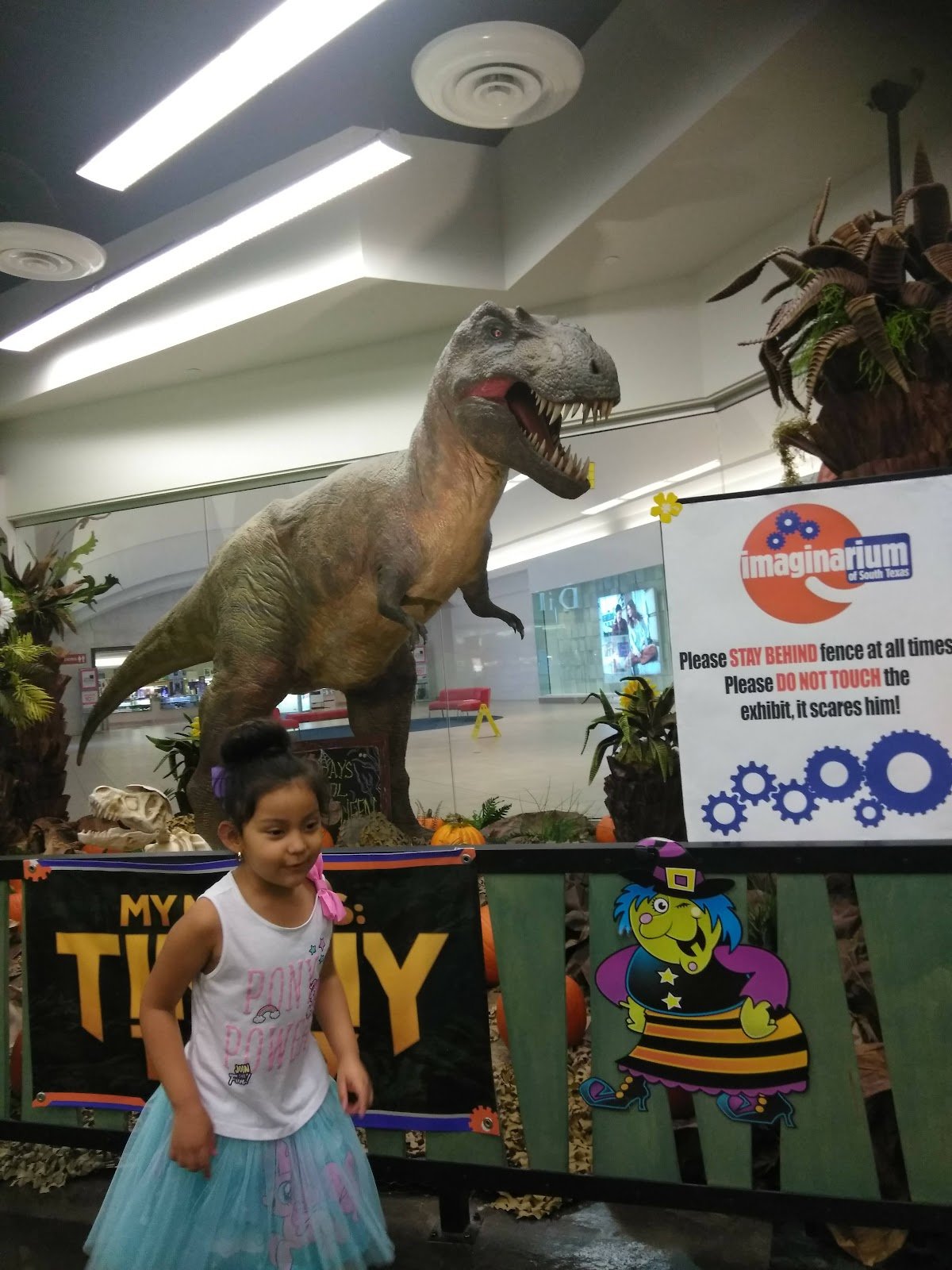 imaginarium-of-south-texas-3