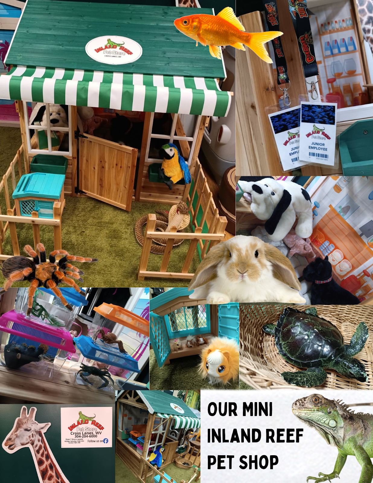 jungle-club-resort-party-play-1