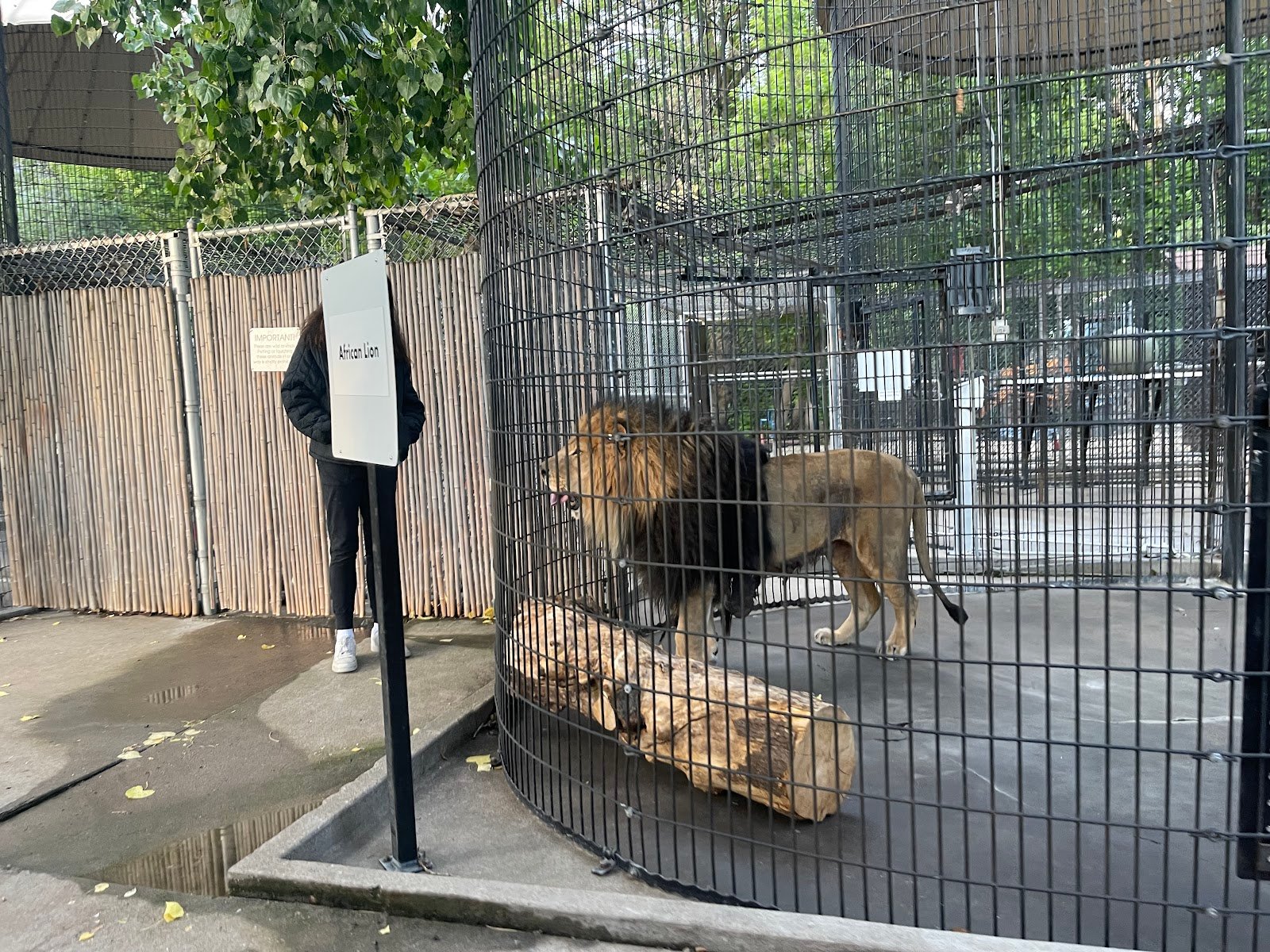 lagoon-amusement-park-4