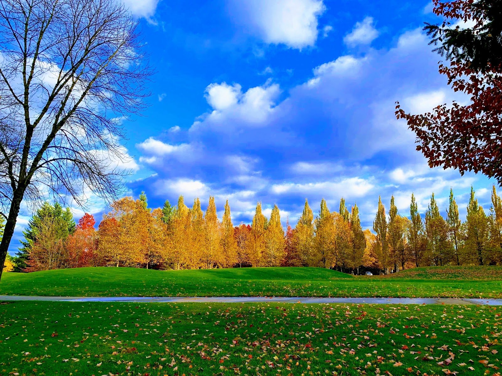 lake-meridian-park-3