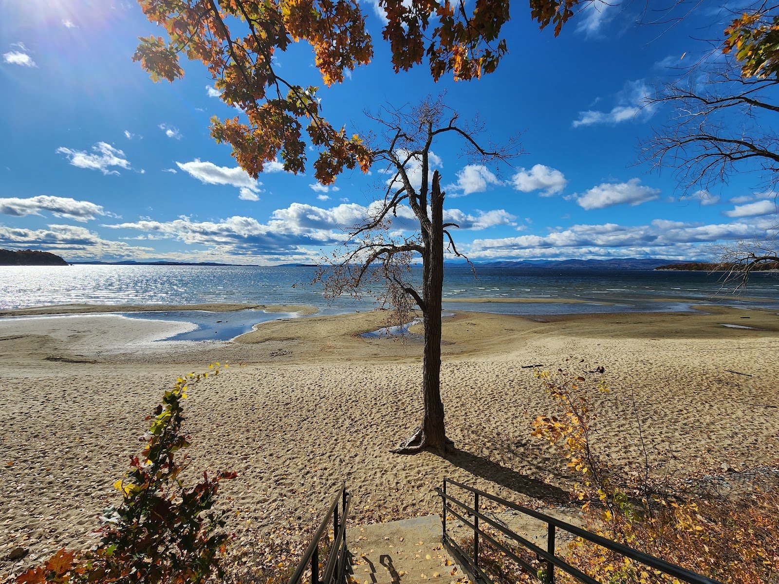 leddy-beach-1