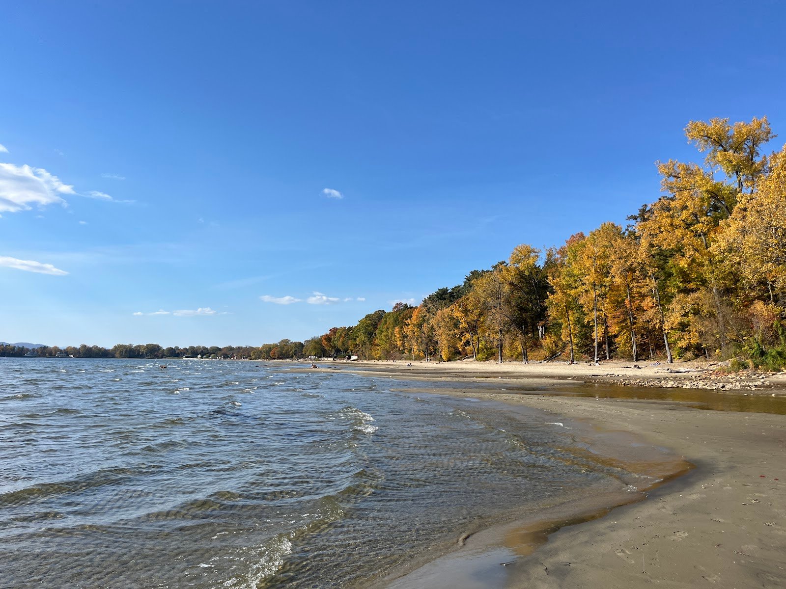 leddy-beach-2