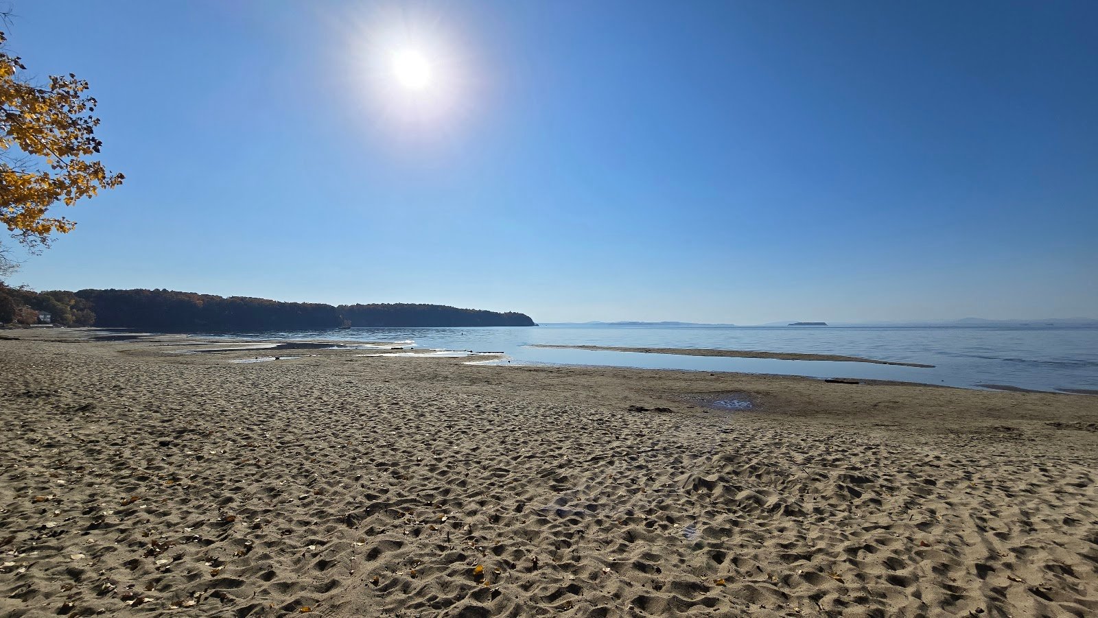 leddy-beach-3