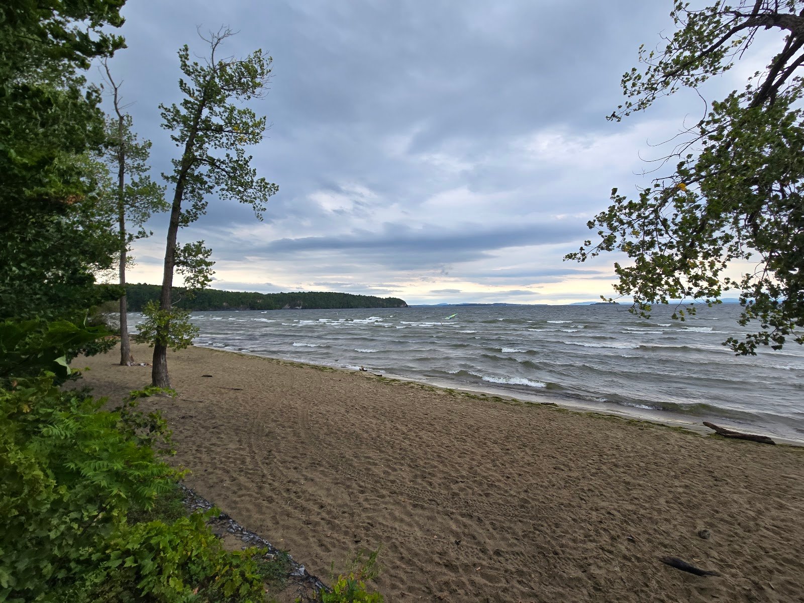 leddy-park-1