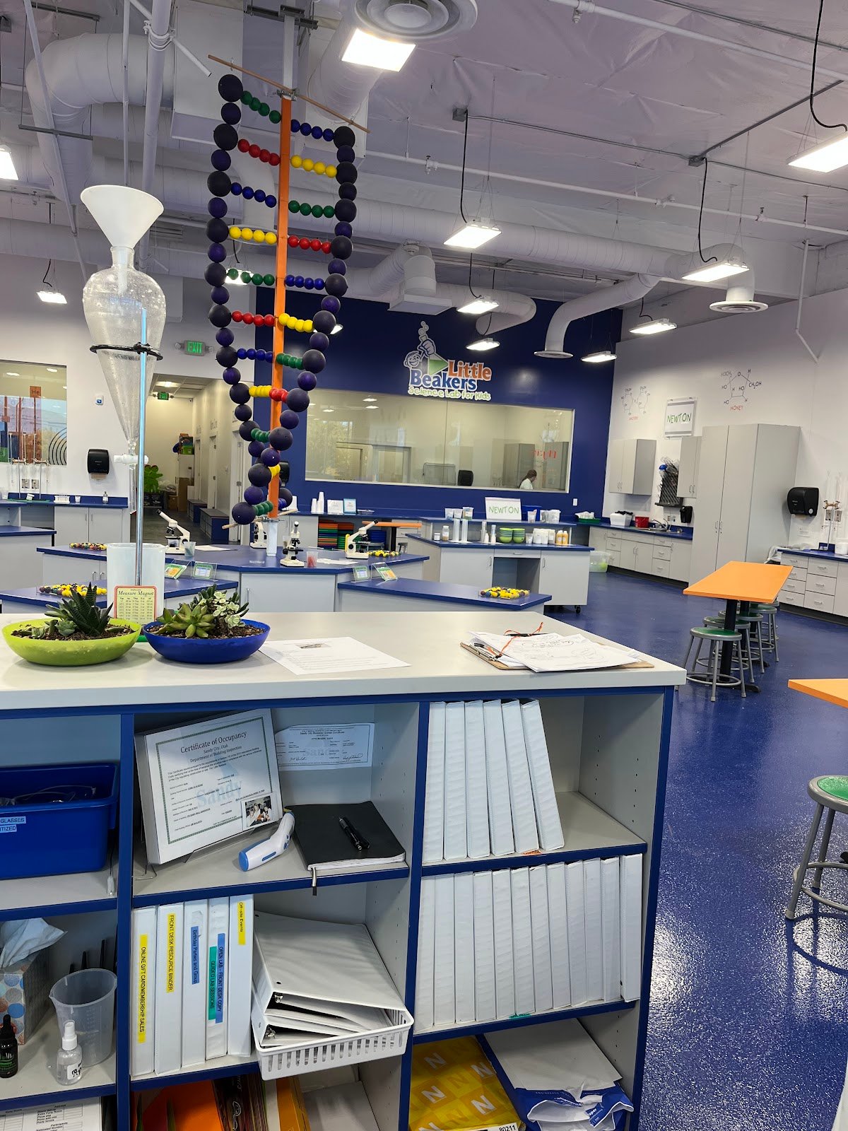 little-beakers-sandy-3