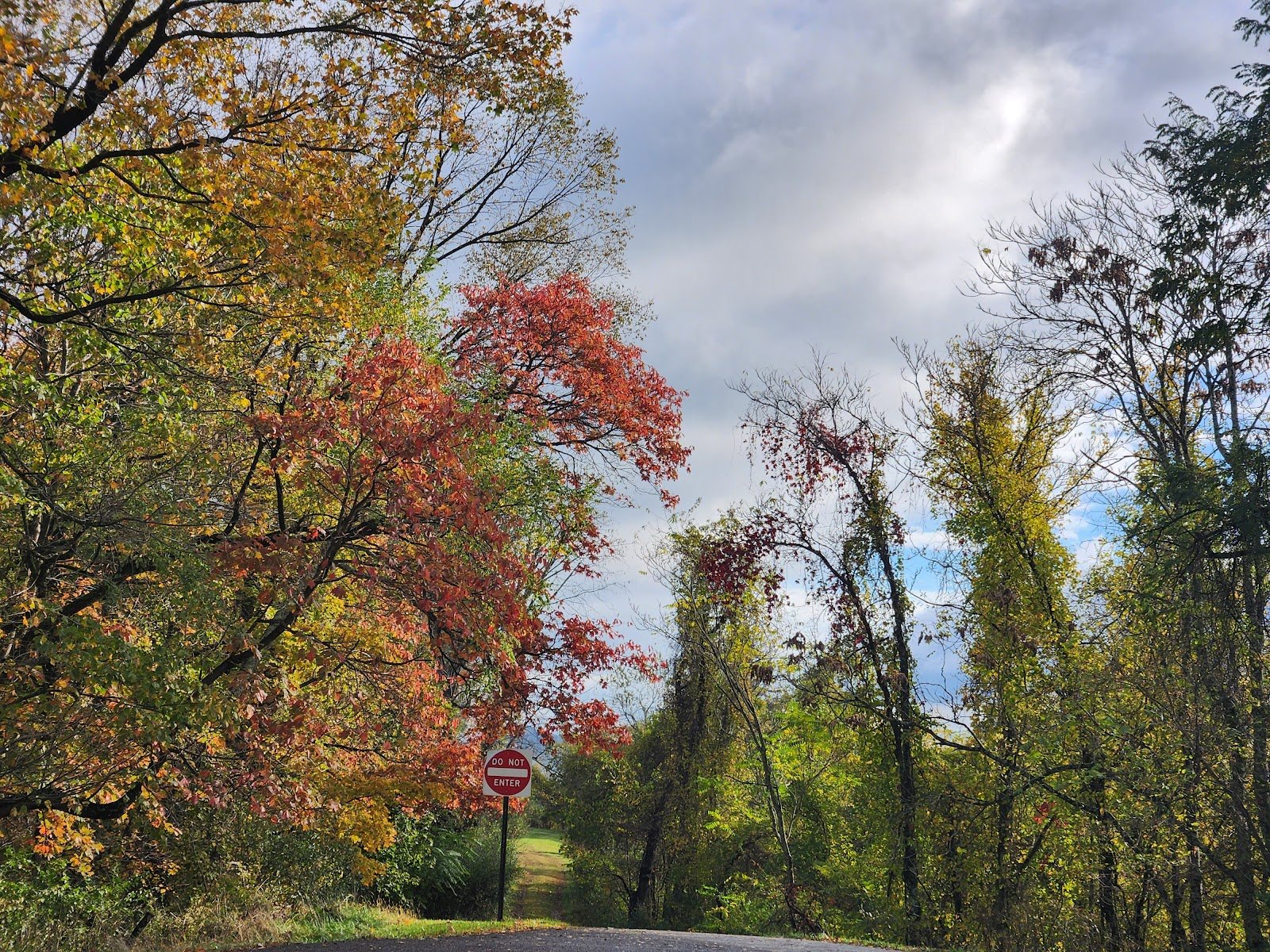 lowndes-park-2
