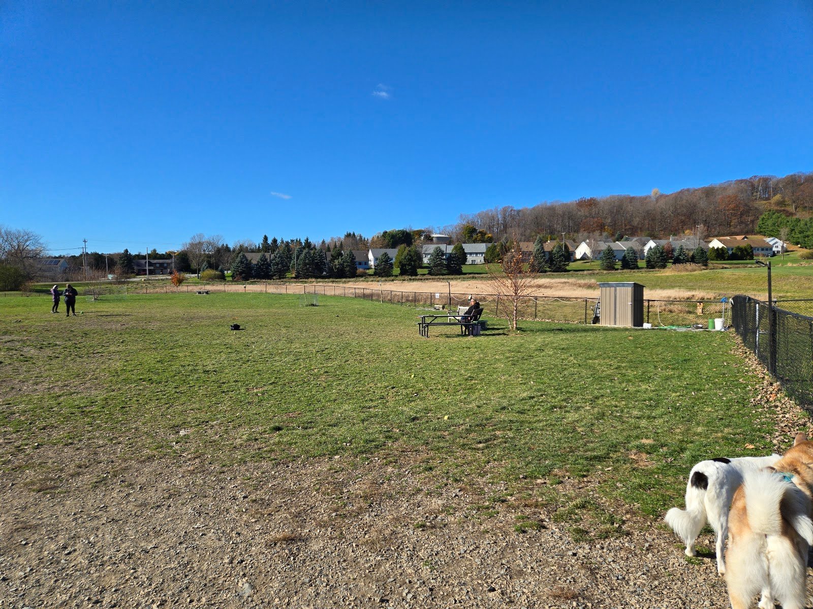 marcs-barc-parc-1