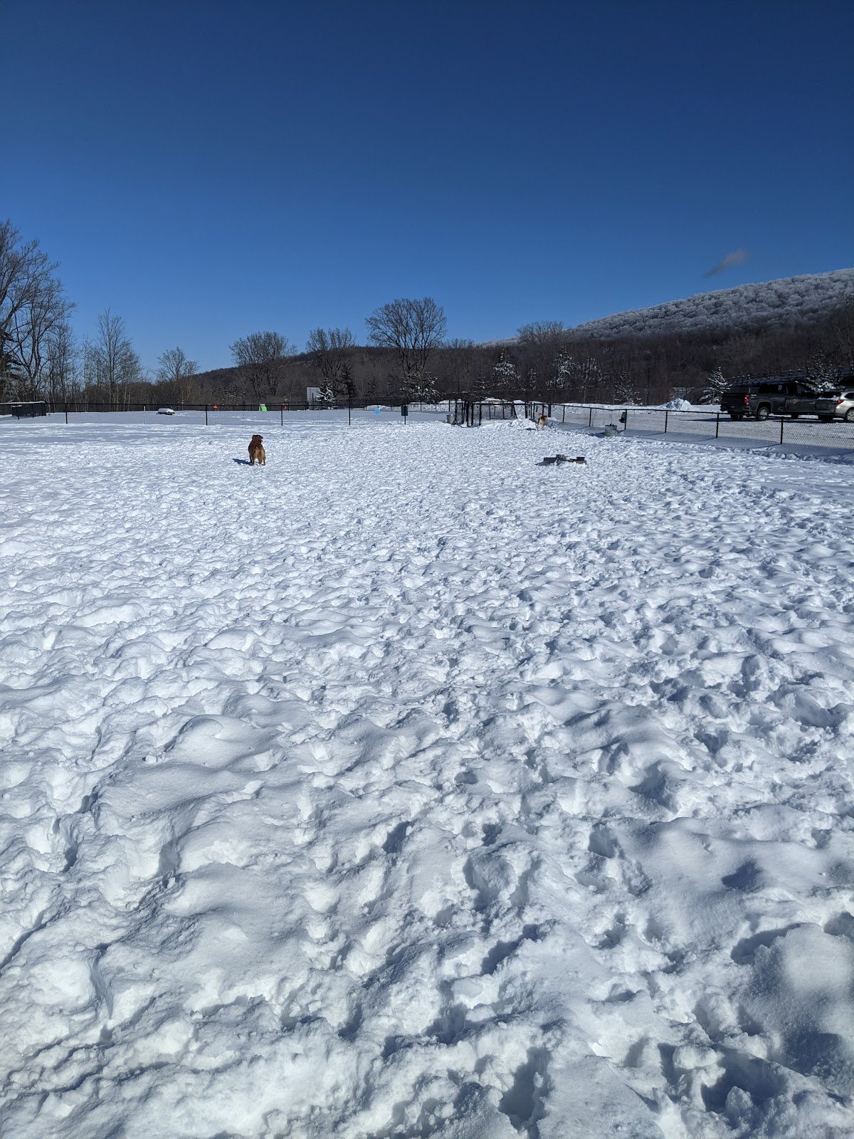 marcs-barc-parc-3