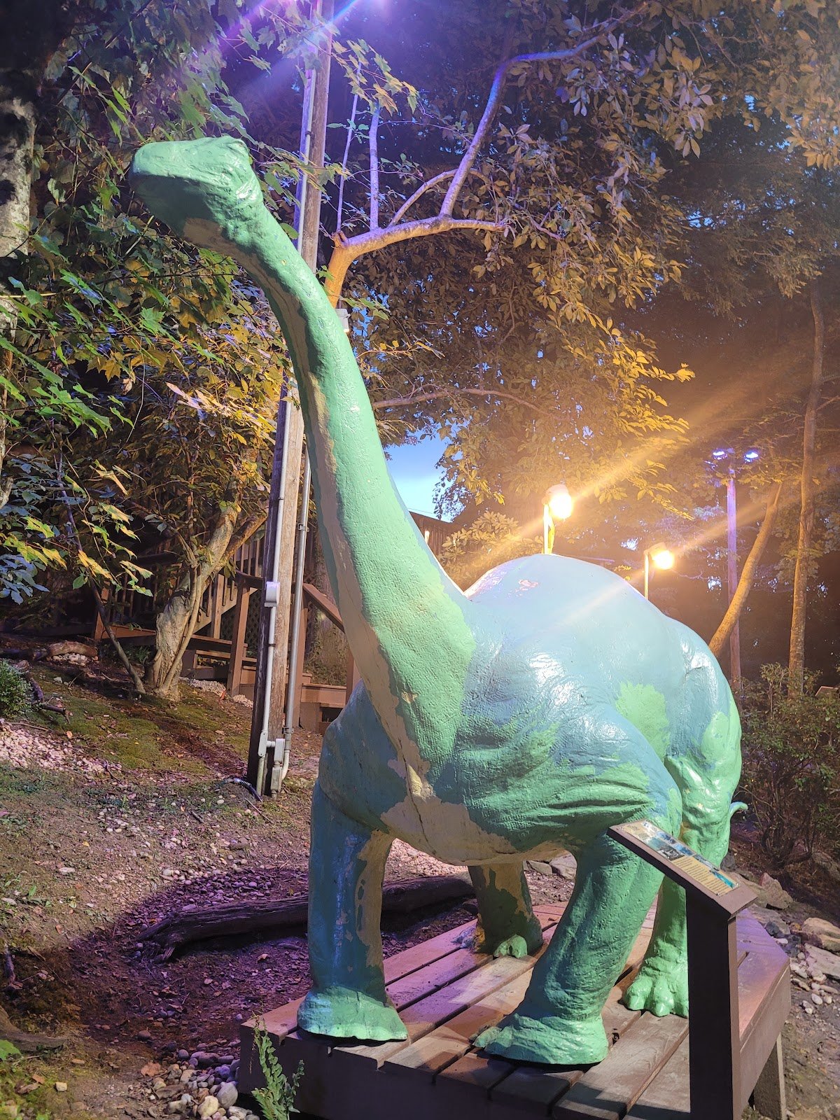 mountain-state-miniature-golf-4