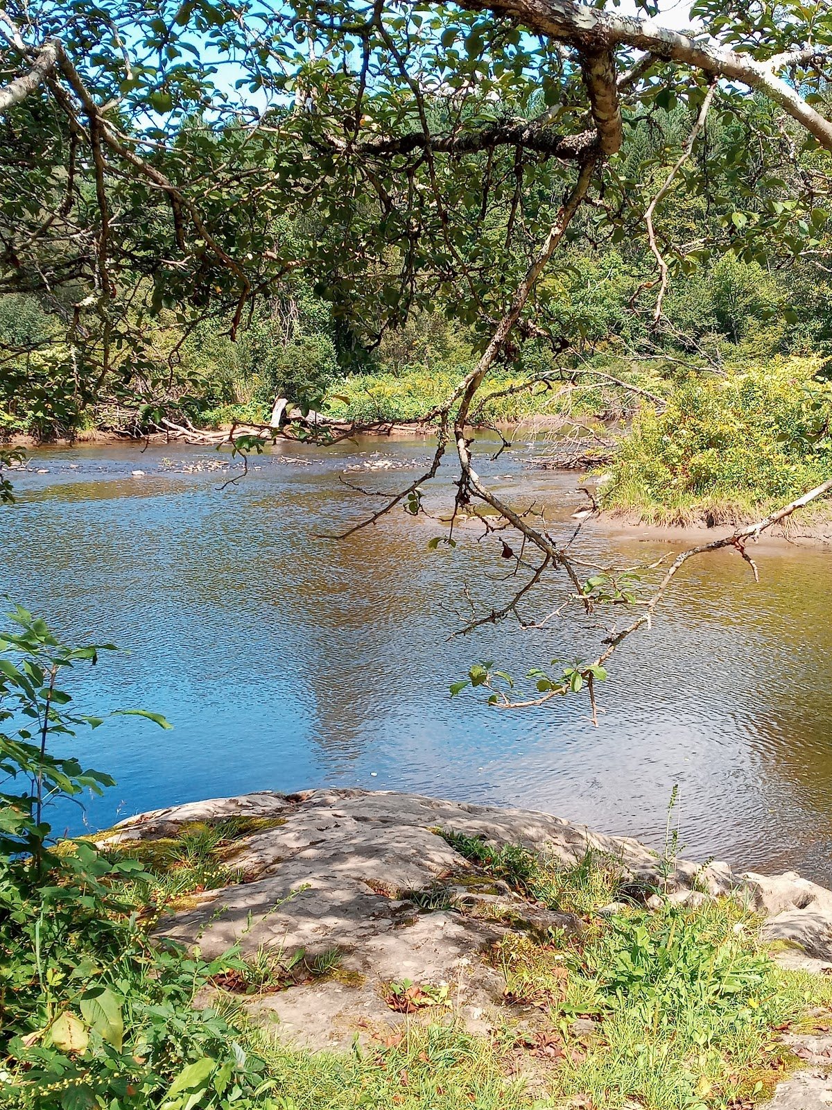 north-branch-nature-center-2