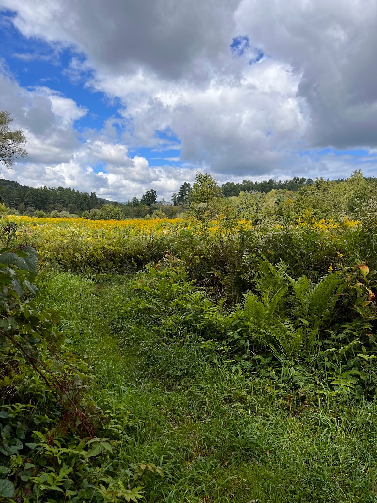 north-branch-nature-center-3