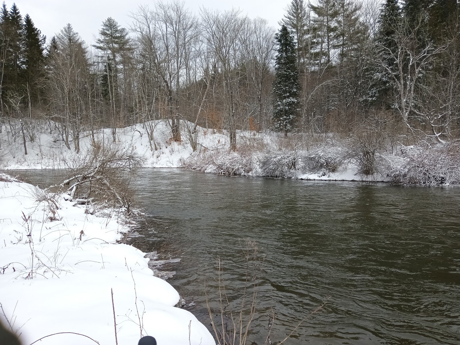 north-branch-nature-center-4