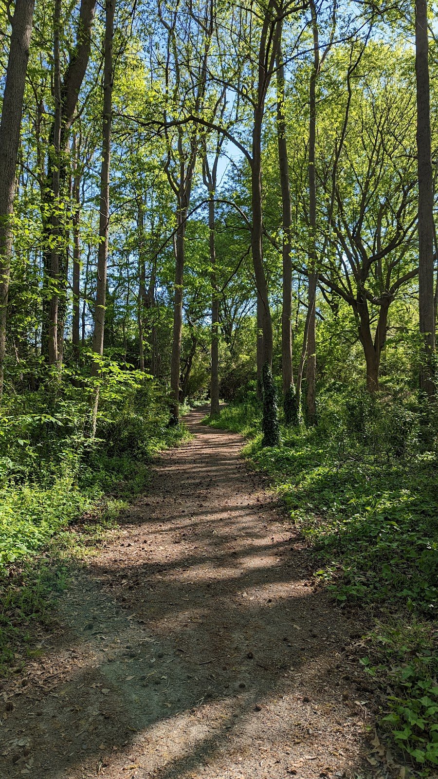 paradise-creek-nature-park-4