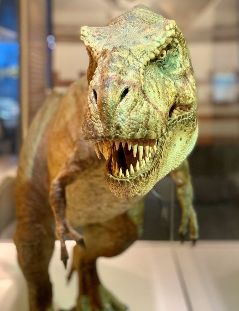 perot-museum-of-nature-and-science-3