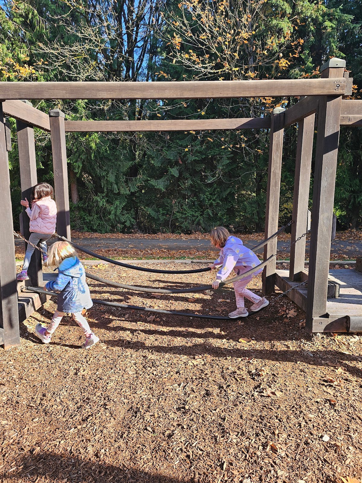 playground-in-point-defiance-park-3