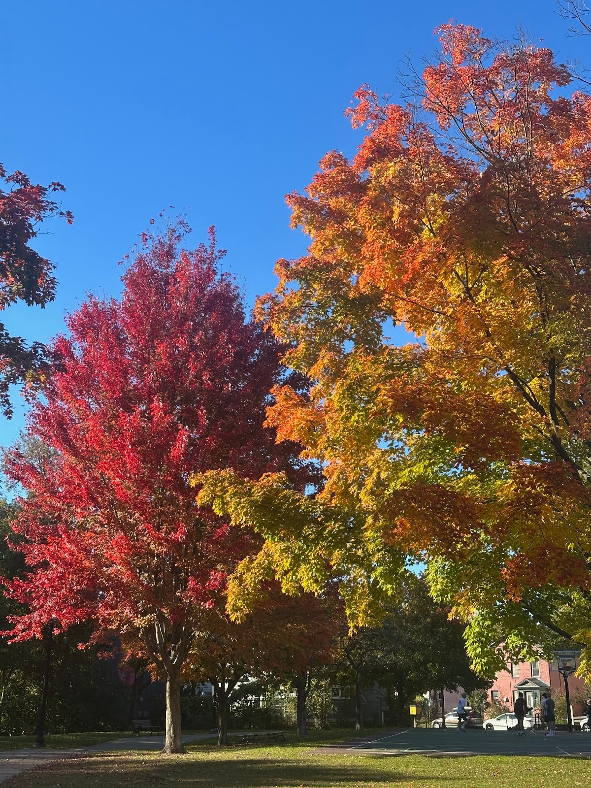 pomeroy-park-2