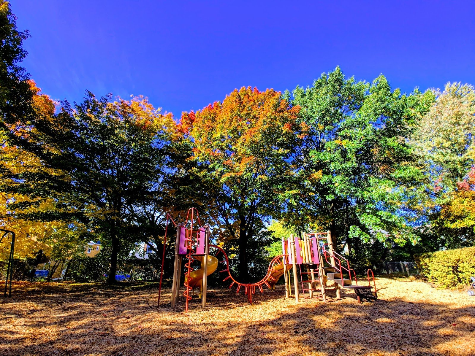 pomeroy-park-3