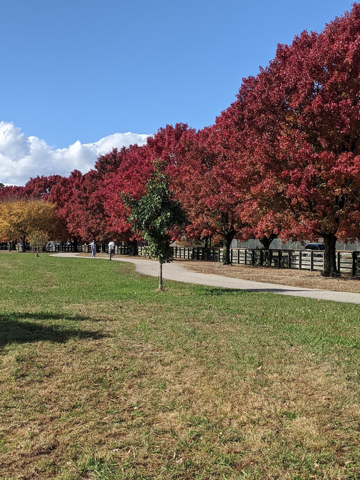 riverview-farm-park-3