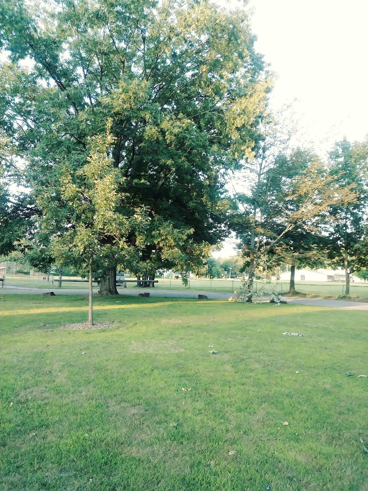 robert-miller-community-recreation-center-4