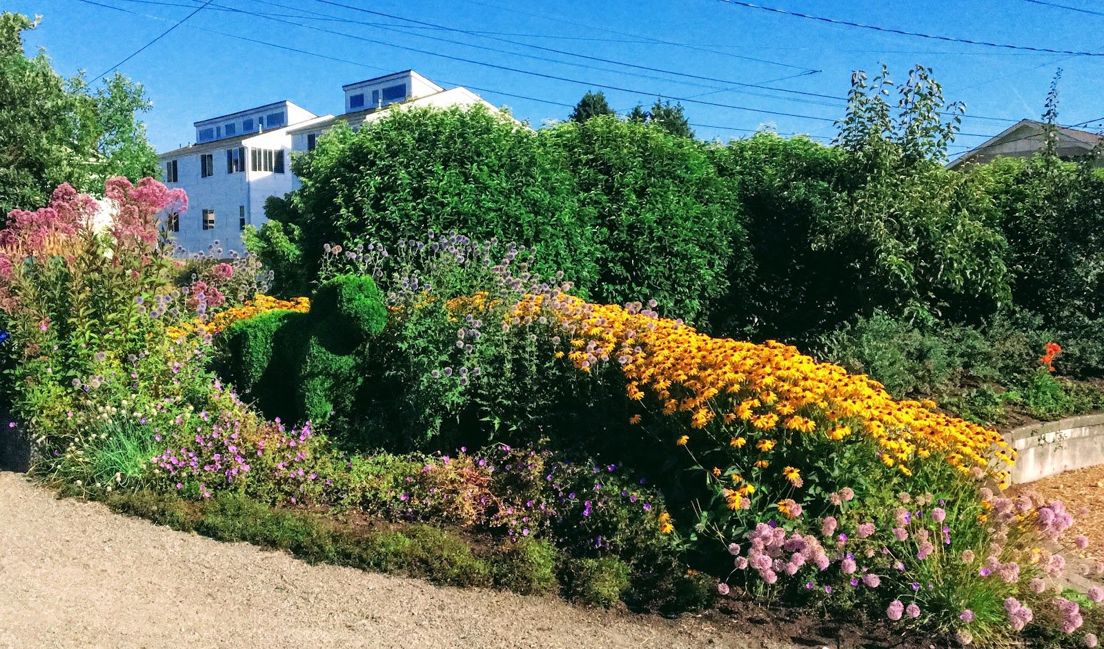 seattle-childrens-playgarden-4