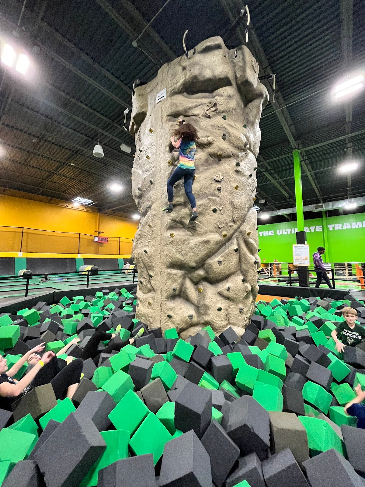 sky-zone-brown-deer-3