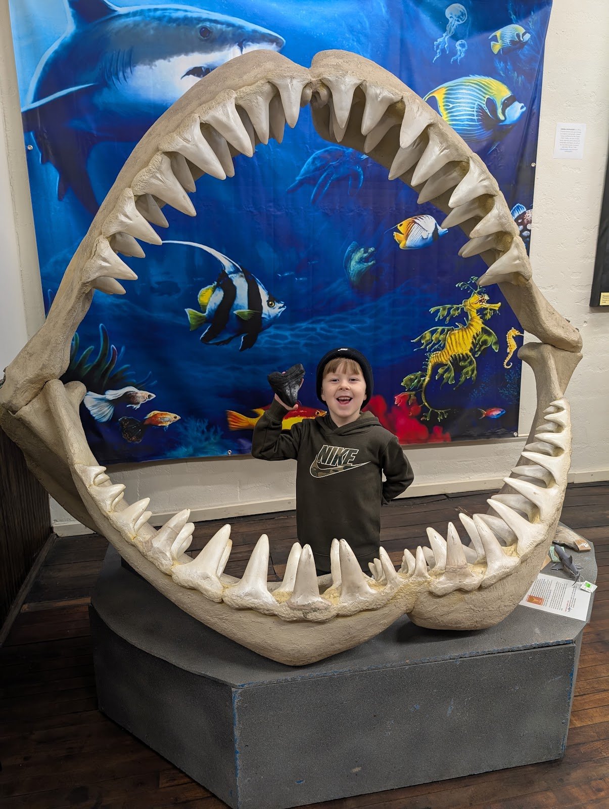 smartcenter-and-smart-centre-market-2