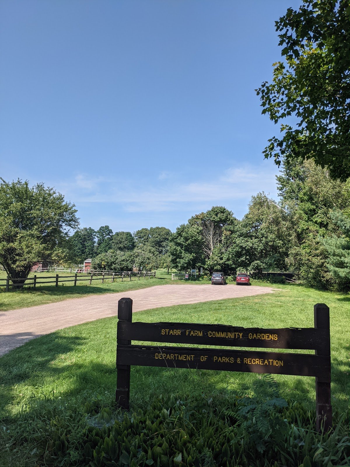 starr-farm-dog-park-1