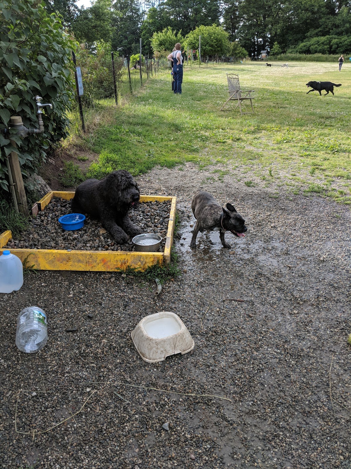 starr-farm-dog-park-2