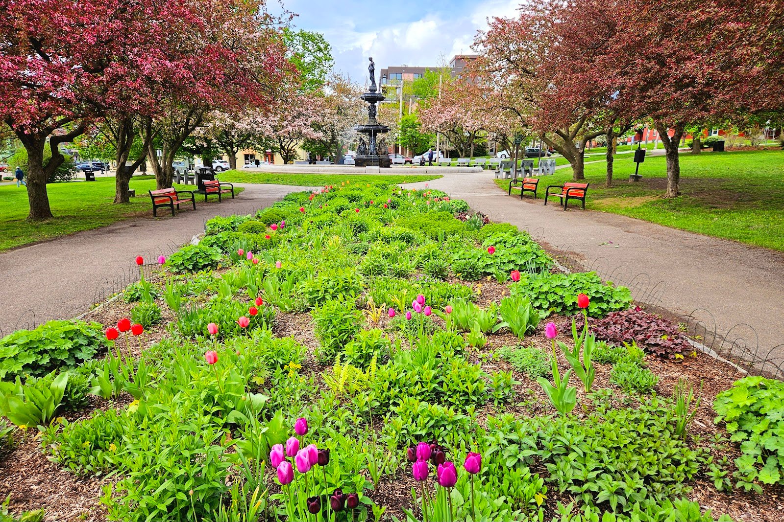 taylor-park-3