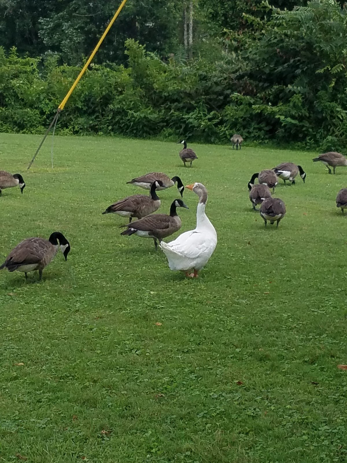 va-park-trail-clarksburg-west-virginia-2