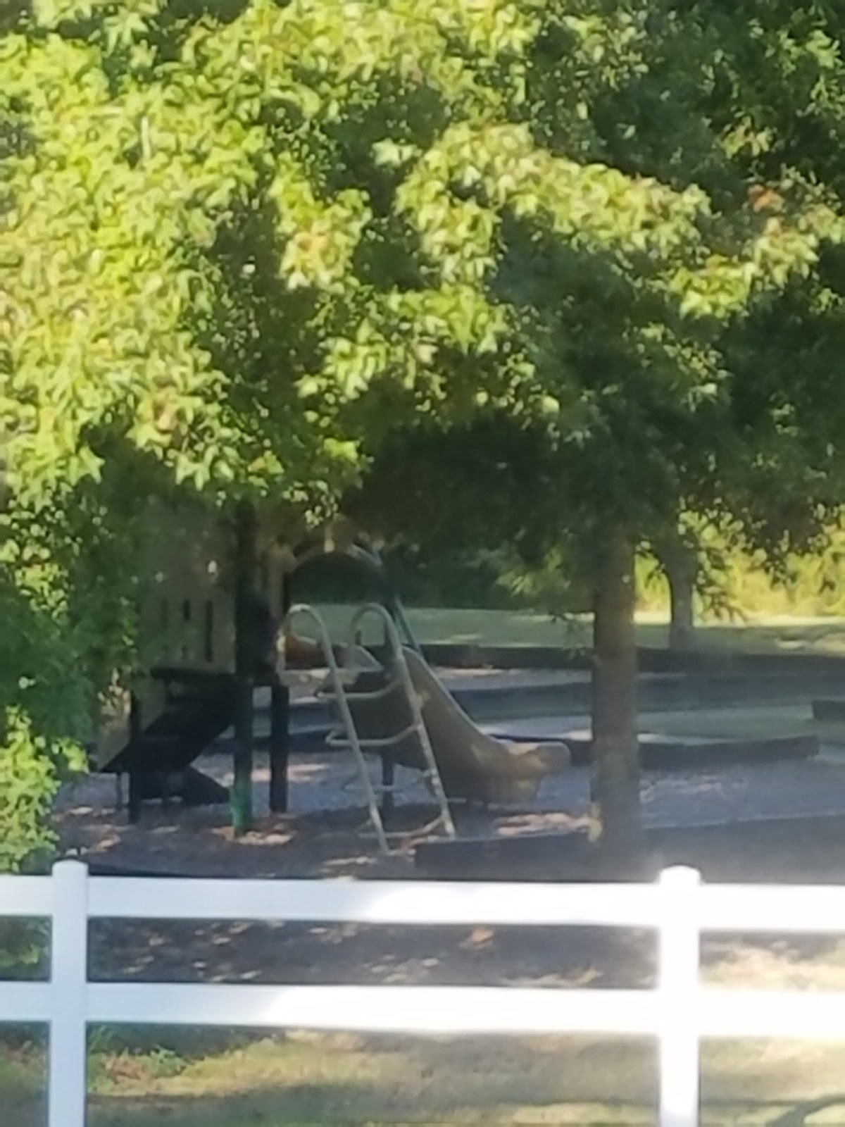 woodlands-of-nansemond-playground-2